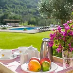 Historic House In Mallorca Up To 12 Guests